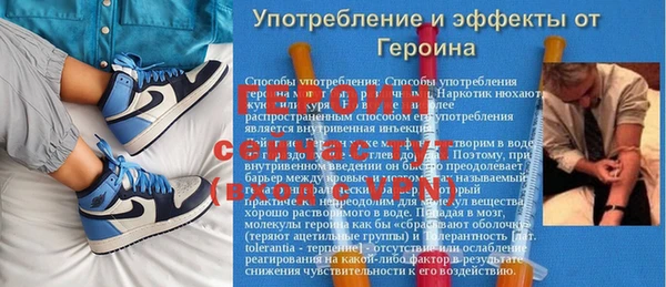 сатива Зерноград