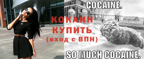 крисы Чекалин