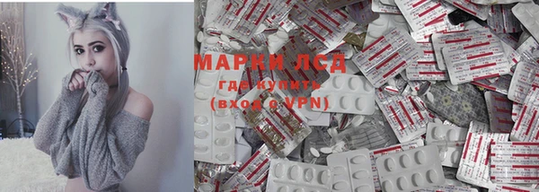 крисы Чекалин